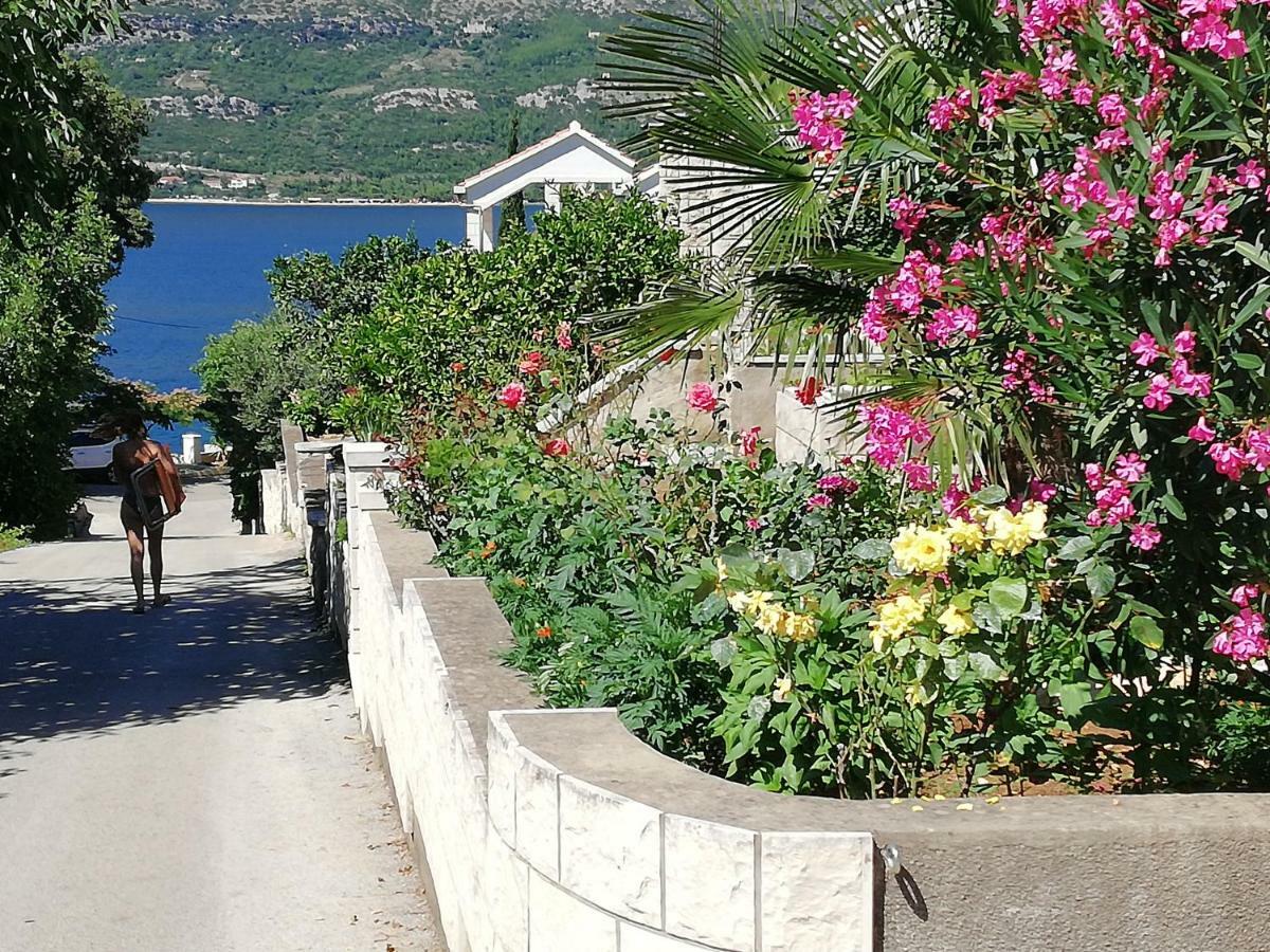 Medvinjak Villa Giulia المظهر الخارجي الصورة